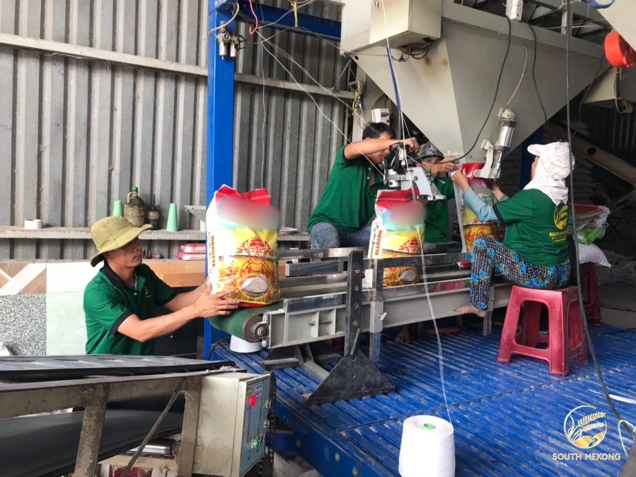 Exciting News Alert! South Mekong Company Exports 350 Tons of Jasmine Rice to the Pacific in June 2023!